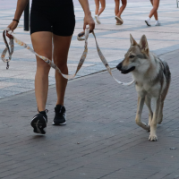 Los paseos son momentos agradables en los que toca explorar el mundo. 