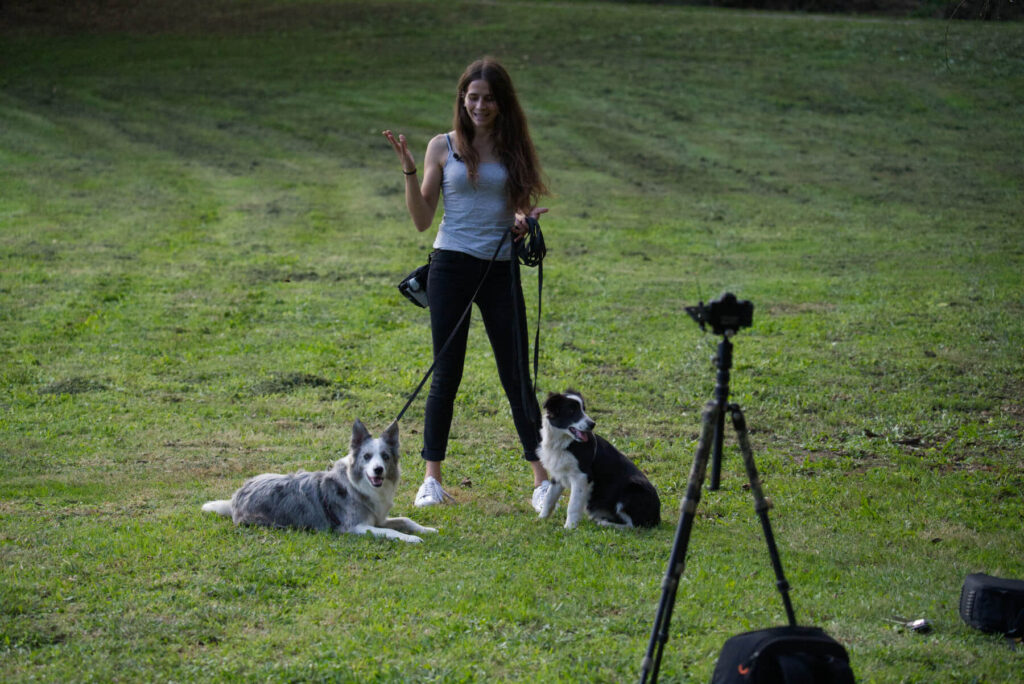 VayaDogs Adiestramiento Canino Online desde cualquier lugar